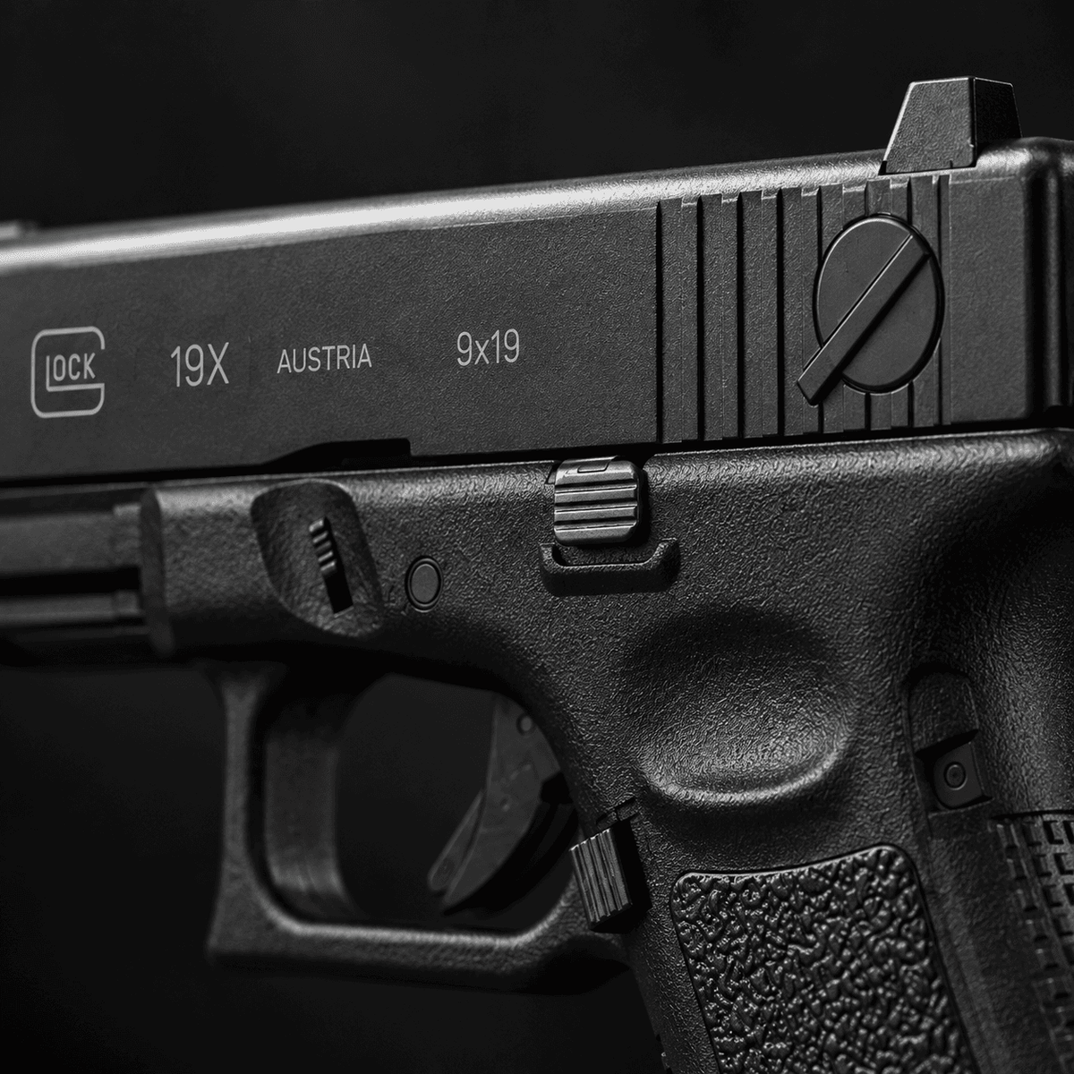 Glock 19 x C15A