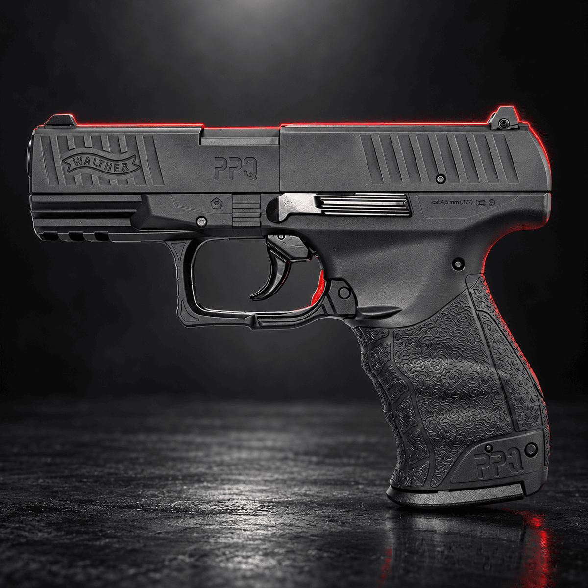 WALTER PPQ